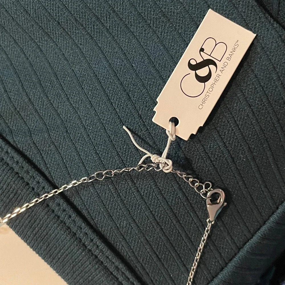 Christopher &‎ Banks Silver Tone Paperclip Bar Faceted Crystal Pendant Necklace